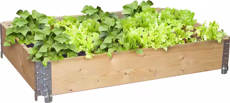 Pallekarm