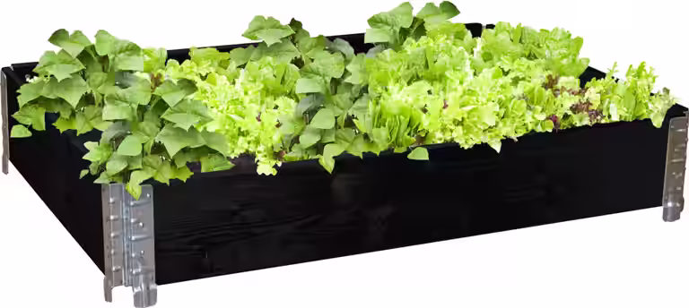 Pallekarm
