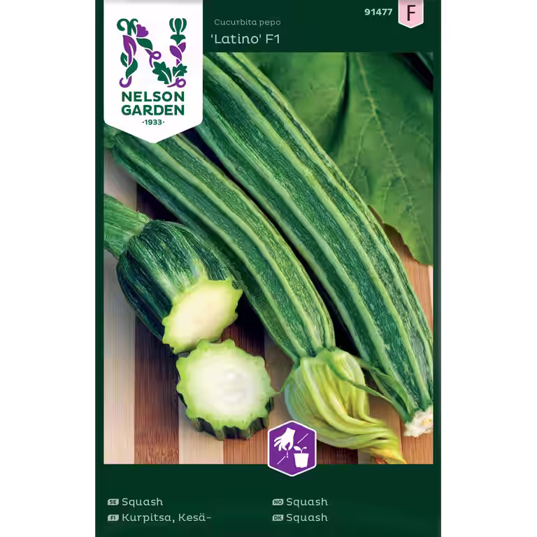 Squash 'Latino'