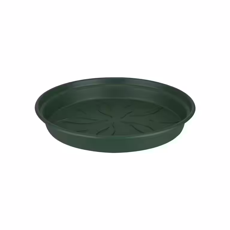 Fat Elho Green basics