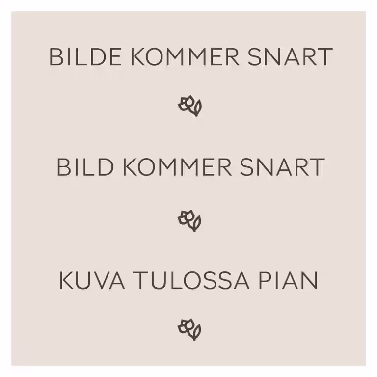 Sommerfuglbusk 'Butterfly Candy'