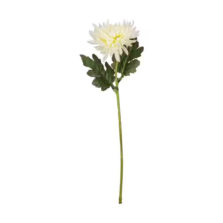Krysanthemum snitt kunstig