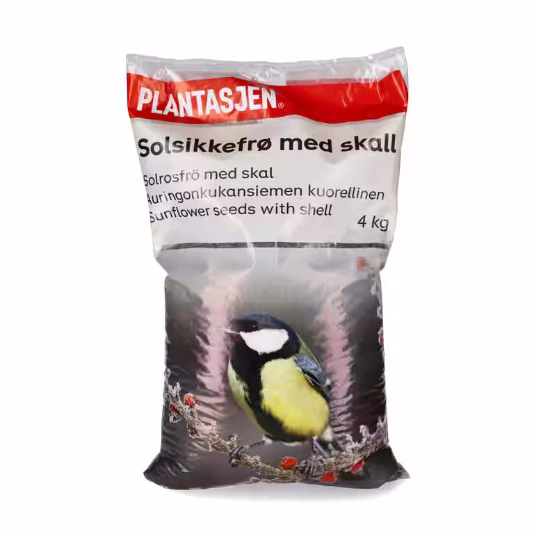 Solsikkefrø med skall