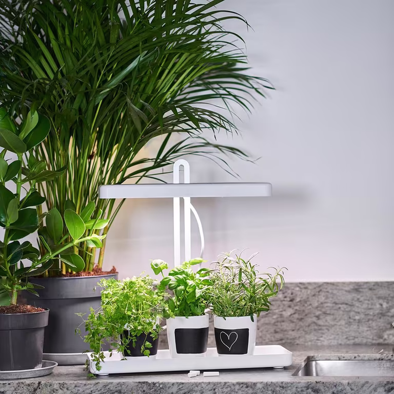 Plantebelysning – fakta og tips om vekstlys og plantelys