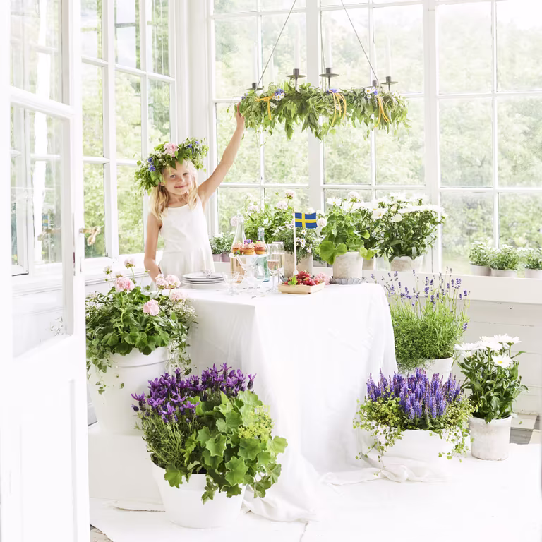 Create the midsummer idyll with flowers