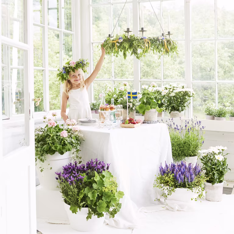 Skap den ekte midsommeridyllen med blomster
